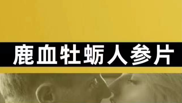鹿血牡蛎人参片.png