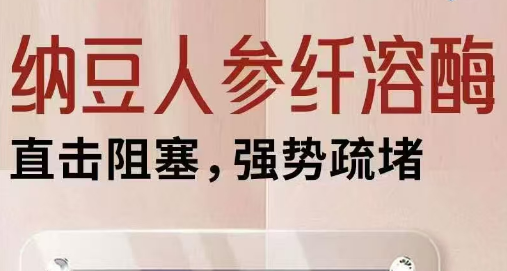 纳豆人参纤溶酶.png