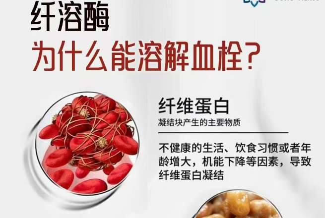 纤溶酶的效果.png