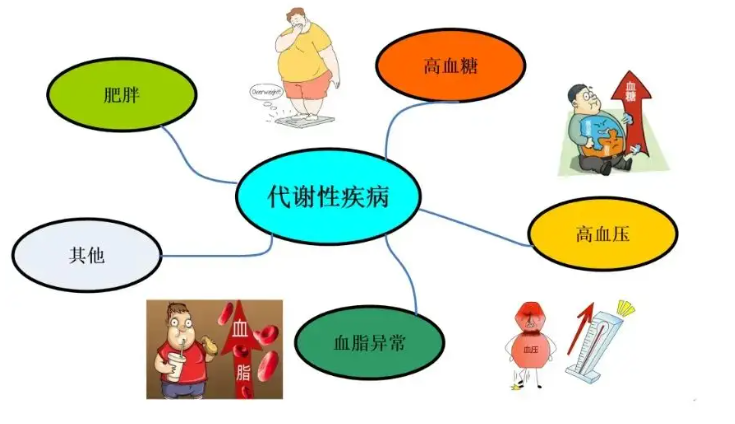 代谢系统疾病.png