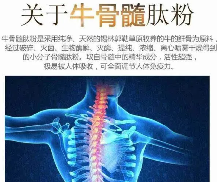 牛骨髓肽功能.png