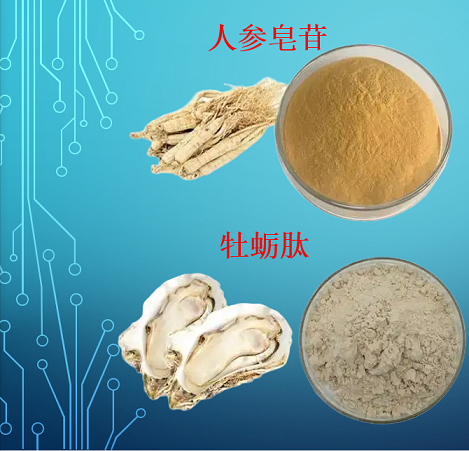 人参牡蛎肽.png