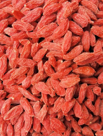 枸杞.png 枸杞.png