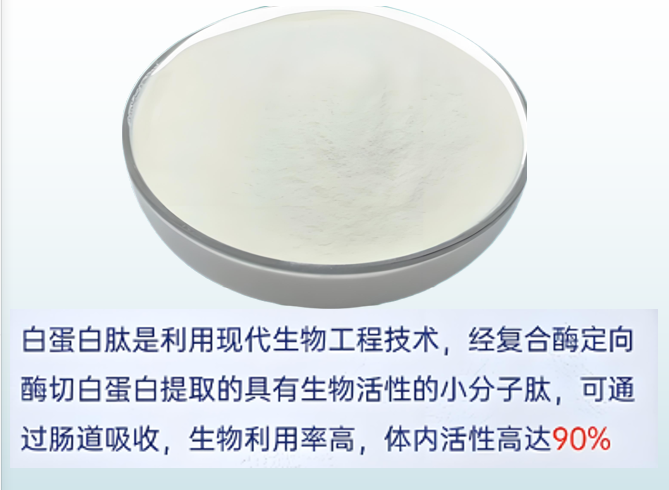 白蛋白肽.png 白蛋白肽.png
