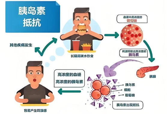 灵芝人参黄精片与胰岛素抵抗.png 灵芝人参黄精片与胰岛素抵抗.png