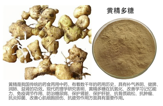 黄精多糖.png 黄精多糖.png
