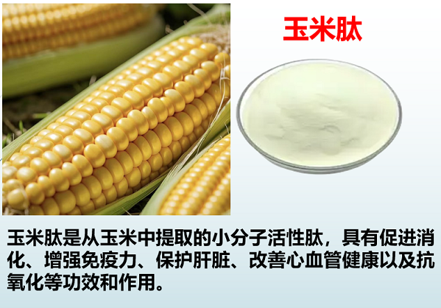 玉米肽.png 玉米肽.png