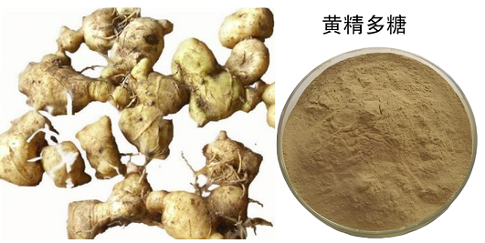 黄精多糖.png 黄精多糖.png