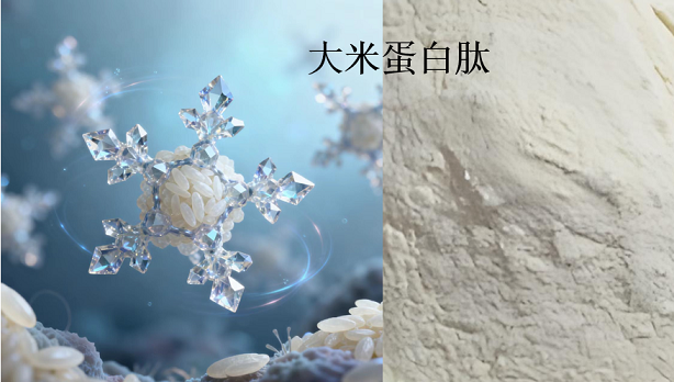 大米蛋白肽.png 大米蛋白肽.png