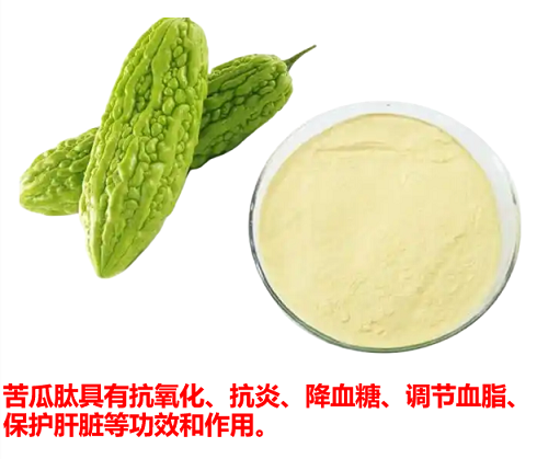 苦瓜肽.png 苦瓜肽.png