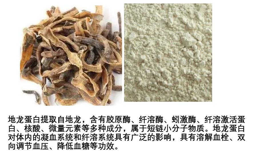 地龙蛋白.png 地龙蛋白.png