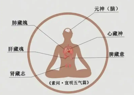 神魂魄意志.png 神魂魄意志.png