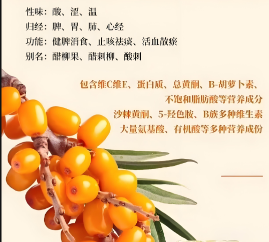 沙棘3.png 沙棘3.png