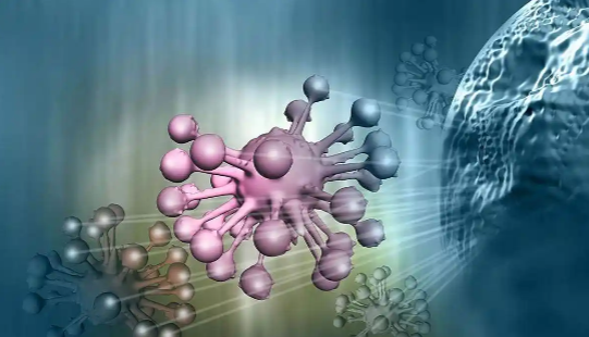 小分子肽对免疫力怎么样.png 小分子肽对免疫力怎么样.png