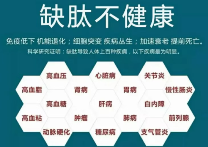 小分子肽在身体中的作用.png 小分子肽在身体中的作用.png