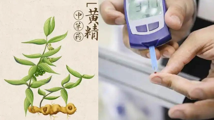 黄精.png 黄精.png