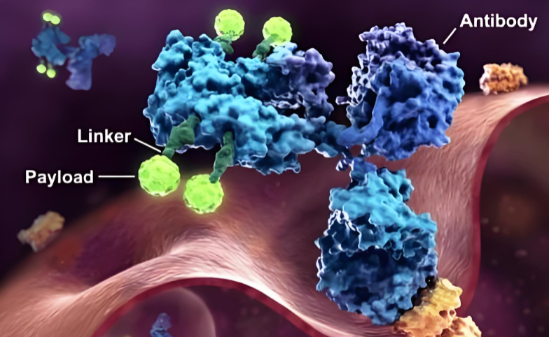 小分子切割技术.png 小分子切割技术.png