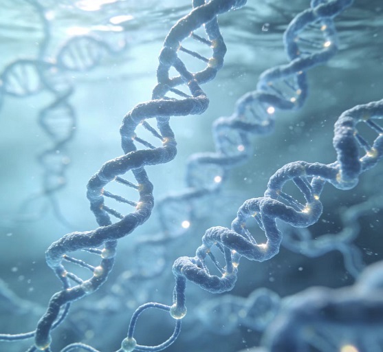 活性多糖.jpg 活性多糖.jpg