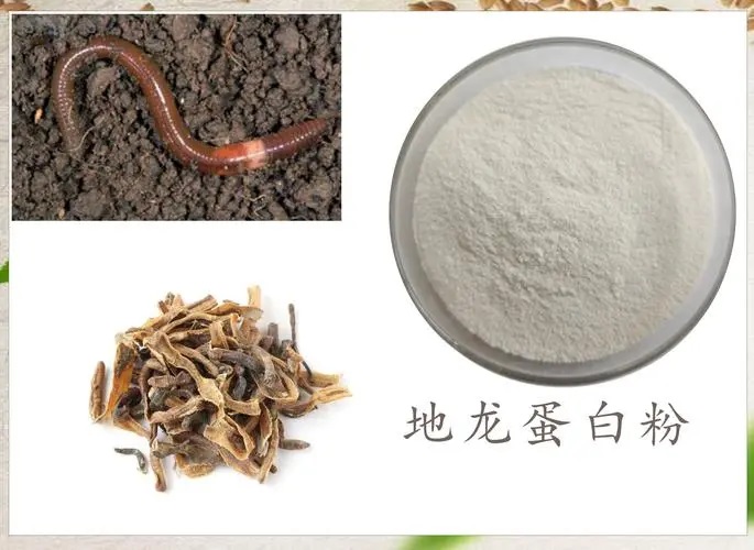 地龙蛋白作用.jpg 地龙蛋白作用.jpg