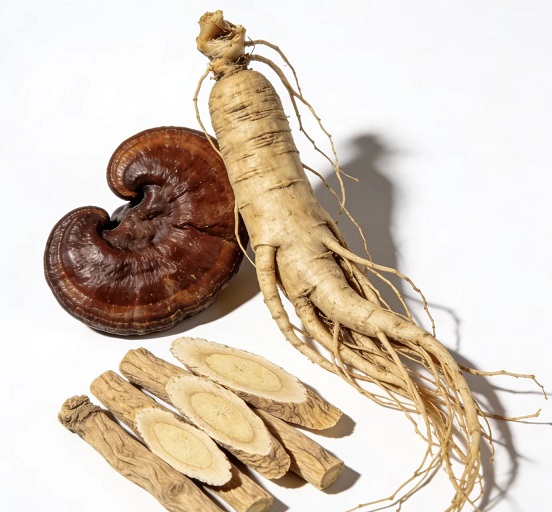 人参灵芝黄芪.jpg