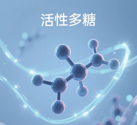 活性多糖.jpg
