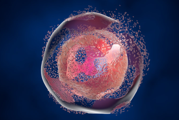 细胞代谢.png 细胞代谢.png