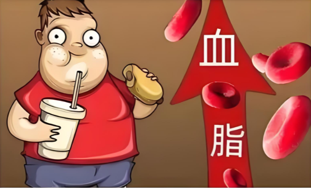 玉米肽降血脂.png 玉米肽降血脂.png