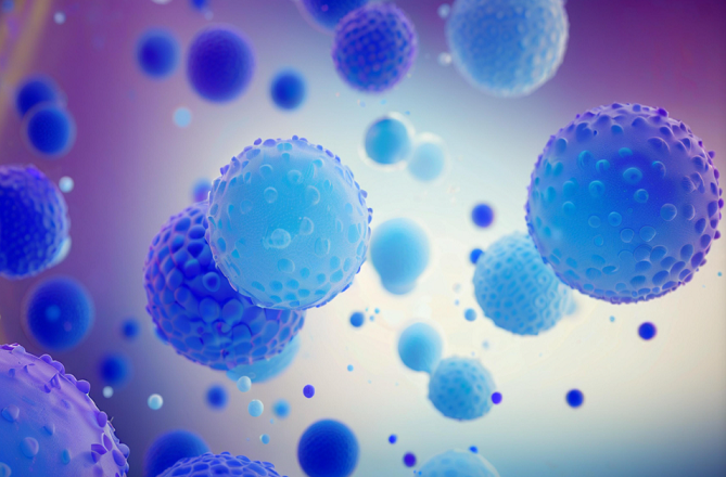 干细胞分化.png 干细胞分化.png