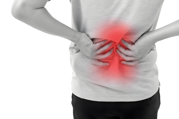 常服髓肽不腰痛.png 常服髓肽不腰痛.png