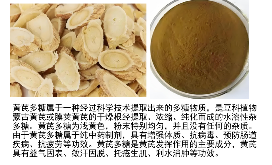 黄芪多糖1.png