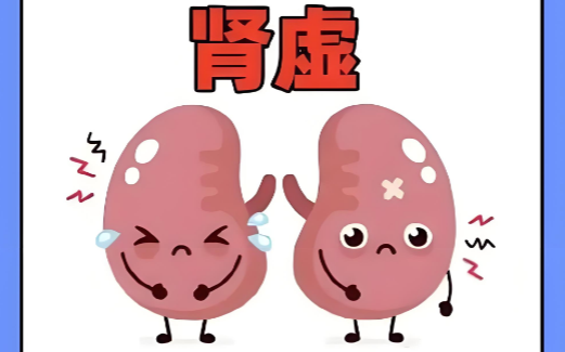 肾虚怎么治疗.png
