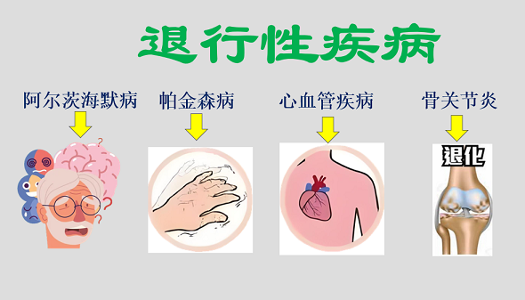 退行性疾病.png 退行性疾病.png
